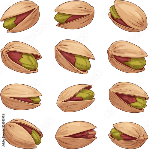 Create a kinds of deferent Pistachios in their shells vector art with white background.