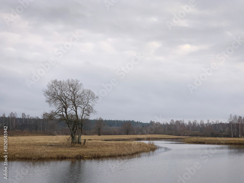 Bare tree by a winding Emajõgi river under a grey sky in Luunja, Tartu, Tartumaa, Estonia, November 2019