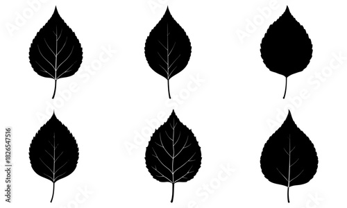 Assorted leaf silhouettes for nature designs and autumnal projects, perfect for educational resources or adding a natural touch to crafts