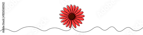 Red gerbera or daisy flower in continuous one line art style. Floral sketch with editable black stroke on white background. Vector illustration.