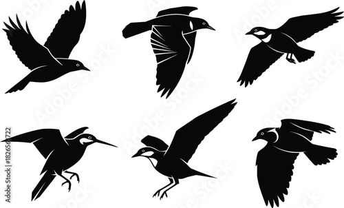 Flying bird silhouettes vector set various species swift movement wildlife nature freedom design elements black graphic