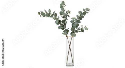 Foto Isolated leafy green plant stem arrangement in clear glass vase, fresh design de