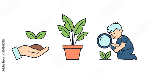 Growing plant stages with boy examining seedling