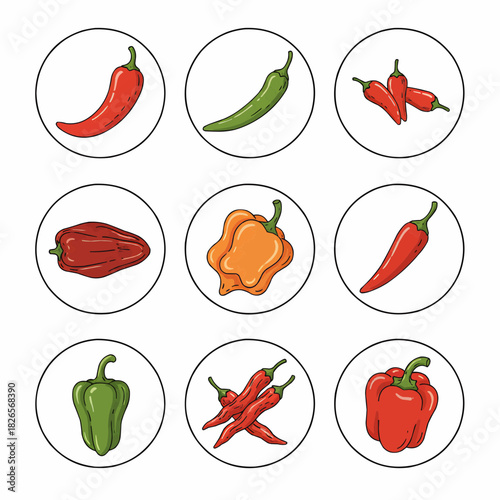 Chili Peppers Collection Spicy Red Green Orange Bell Pepper Icons