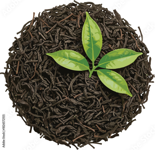 Dried tea leaves, fresh green sprig, tea processing contrast, organic beverage, natural ingredients, herbal drink, white background