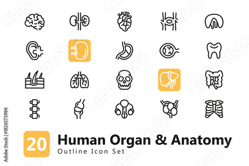 Human Organ & Anatomy Outline Icon Set. Environment Icon Collection. EPS Vector Illustration. Suitable for Any Project