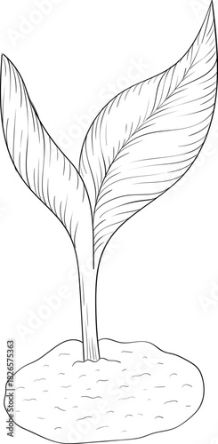 Black and white ink style vector illstration of gardening tools and supplies. Spring mood engraving for packaging, cards and decorative purposes