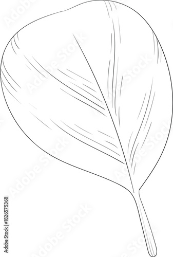 Black and white ink style vector illstration of gardening tools and supplies. Spring mood engraving for packaging, cards and decorative purposes