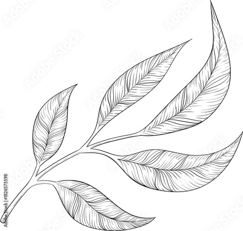 Black and white ink style vector illstration of gardening tools and supplies. Spring mood engraving for packaging, cards and decorative purposes