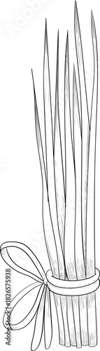 Black and white ink style vector illstration of gardening tools and supplies. Spring mood engraving for packaging, cards and decorative purposes