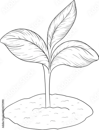 Black and white ink style vector illstration of gardening tools and supplies. Spring mood engraving for packaging, cards and decorative purposes