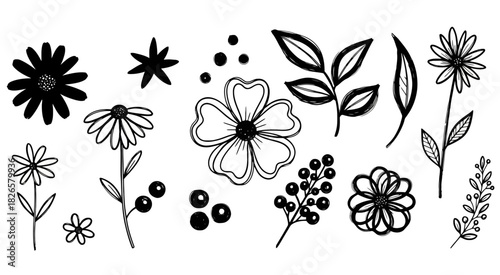 Hand drawn floral elements in black and white for design projects