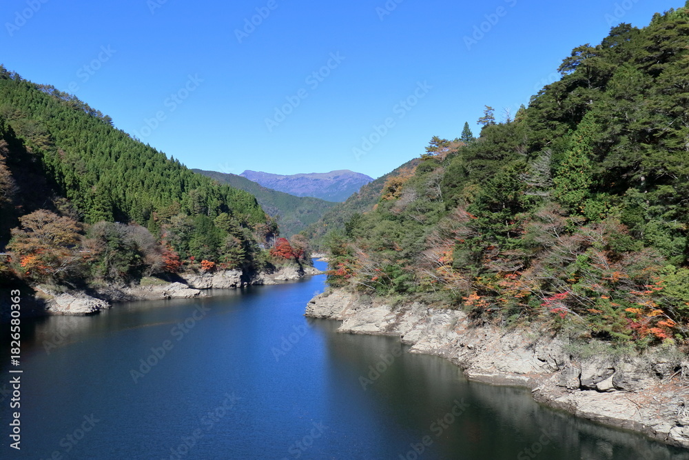 Fototapeta premium 木の根三里橋から吉野川を眺める 秋麗 （高知県 いの町）