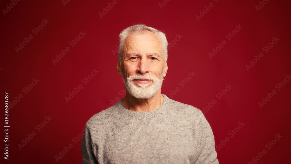 Obraz premium Portrait of happy senior man touching grey beard looking at camera posing isolated on red background