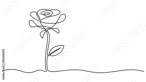 Rose one line drawing. Abstract flower continuous line. Continuous line drawing of flower rose . Rose flower continuous one line drawing minimalist style illustration. Editable outline