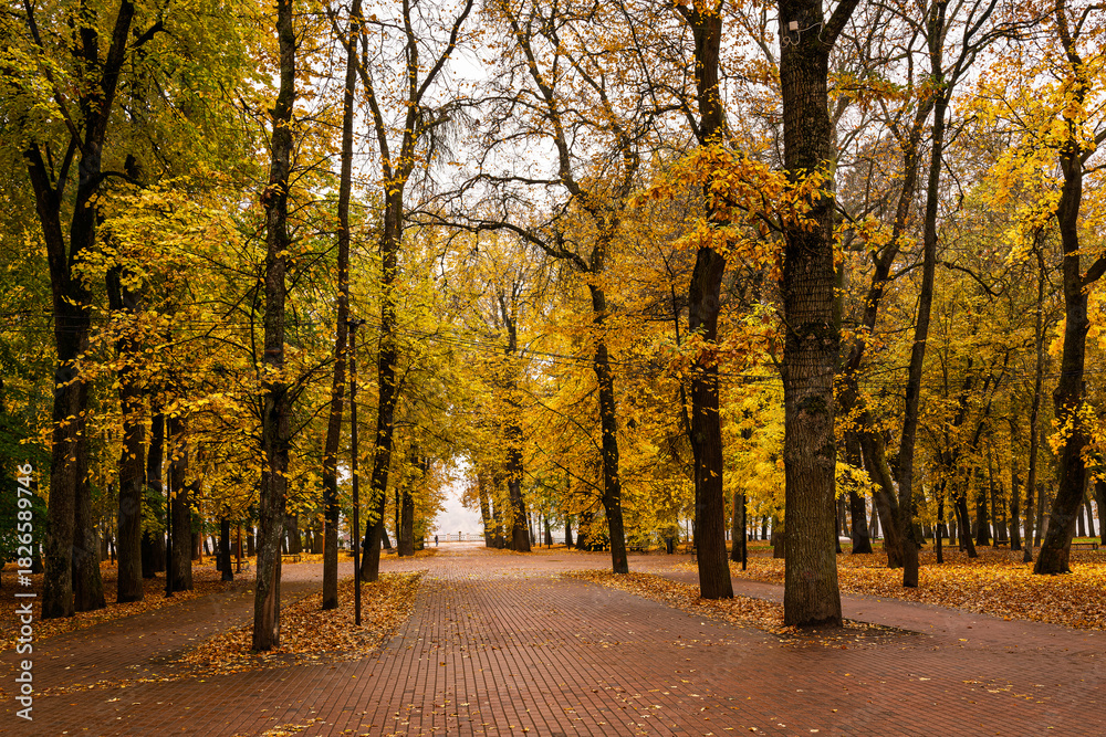 Naklejka premium Park alley with bright yellow foliage and paved path on cloudy day. Beautiful autumn landscape, embracing the concept of nature's transformation and a walk in the fresh air. Golden autumn.