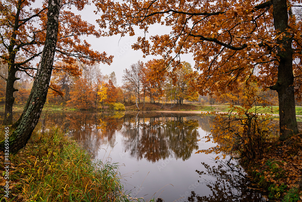 Obraz premium Autumn landscape with colorful trees reflected in water. Seasonal fall scenery with yellow and orange foliage by lake. Nature background for tranquil moment.