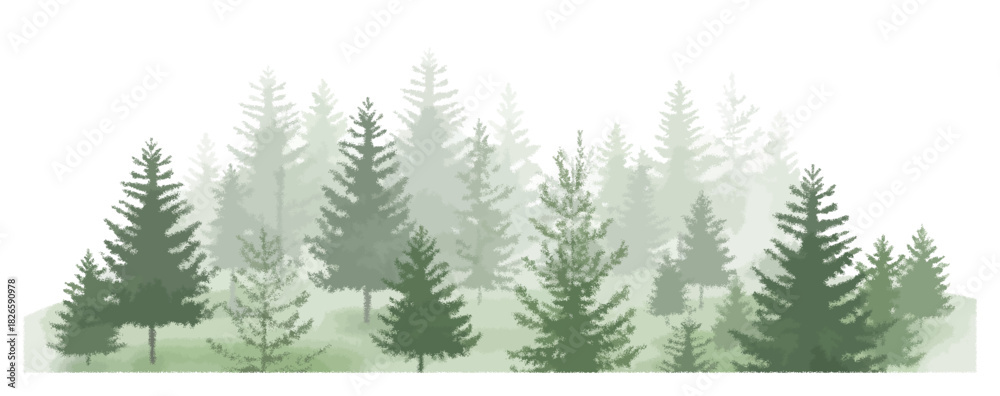 Obraz premium Forest trees watercolor vector illustration, pine tree panorama view, lush forest landscape, natural scenery