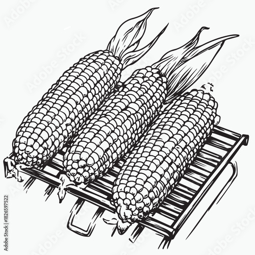 grilled corn vector illustration