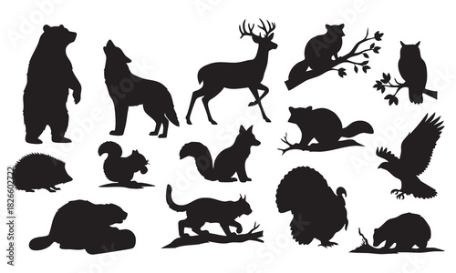 Wildlife silhouettes collection: diverse forest and woodland animals