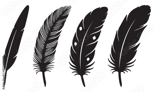 Feather Designs & Vector Illustrations | Artistic Feather Tattoos, Icons & Patterns
