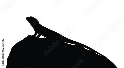 Striking black silhouette of a lizard resting a rock against a clean backdrop