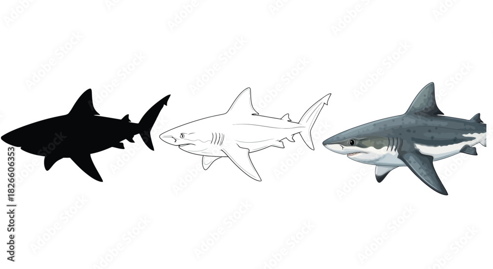 Obraz premium Three representations of a shark including a silhouette, an outline drawing, and a realistic depiction