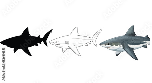 Three representations of a shark including a silhouette, an outline drawing, and a realistic depiction