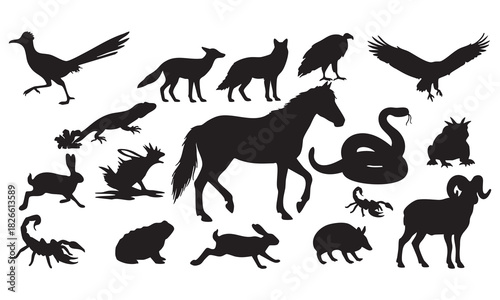 Farm animals collection