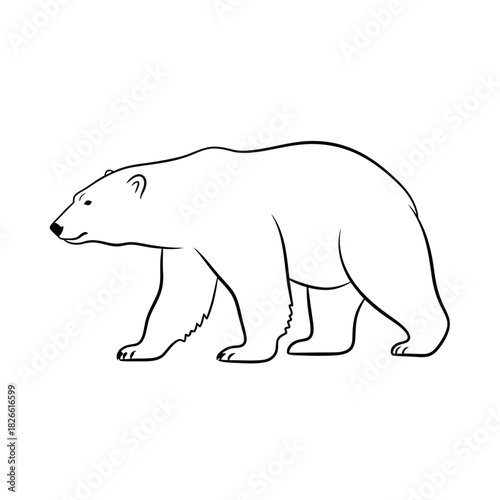 Outline drawing of a polar bear walking