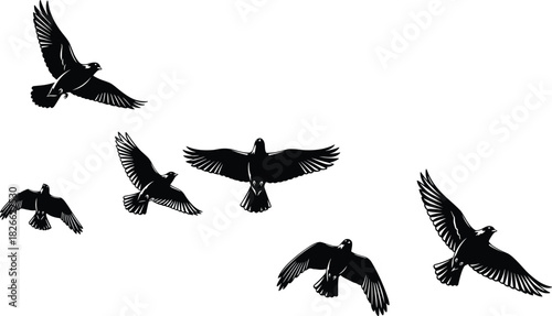 Flying bird silhouette vector, wing motion illustration, black graphic art, avian locomotion design, nature flight icon, minimal clipart