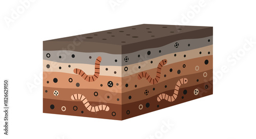 An illustration of a soil cross-section with various layers and microorganisms on a white background in a cutaway view with earthy tones.