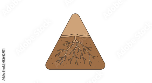 An illustration of a triangular cross-section showing layers of soil and roots against a white background.