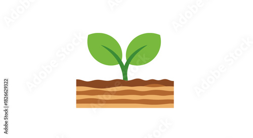 A small green plant with two leaves grows out of a brown soil block on a white background.