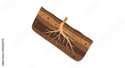 An illustration of a tree root growing through layers of soil and a perforated horizontal surface on a white background.