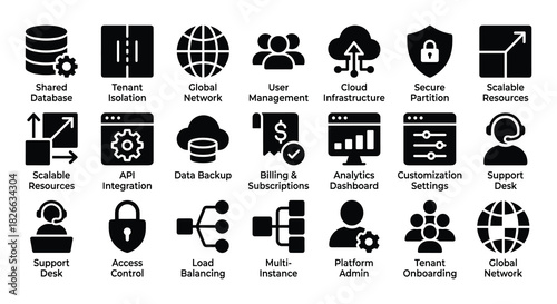Cloud computing and multitenancy solid icons set, platform as a service features