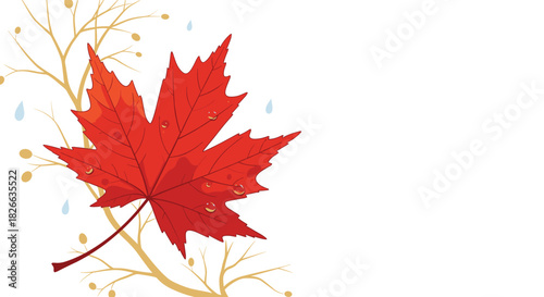 Vibrant red maple leaf with glistening raindrops, intertwined with delicate golden branches, set against a pristine white background for an autumn theme.