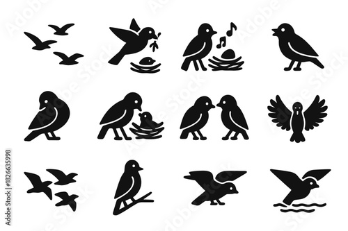 Bird Behavior Icons. Bird Behavior. Solid icon set of Bird Behavior: migration flight, nest building, egg incubation, singing bird, preening, feeding chick,