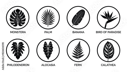 Collection of tropical leaf and plant icons featuring monstera, palm, banana, bird of paradise, and fern
