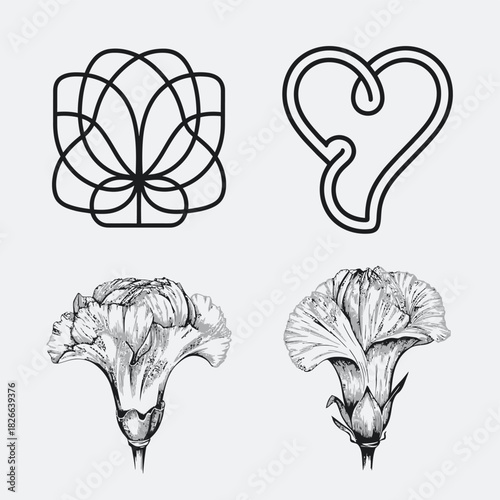 Abstract floral, heart, and botanical carnation illustrations in line art. isolated on white background, Vector, illustration