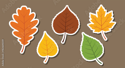 A set of autumn leaves, including oak, maple, and birch designs, in warm fall colors like orange, yellow, brown, and green, as sticker illustrations.