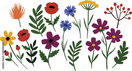Stylized folk art wild flowers and botanical garden elements