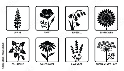 Lupine poppy bluebell sunflower columbine coneflower lavender queen anne's lace square icons set