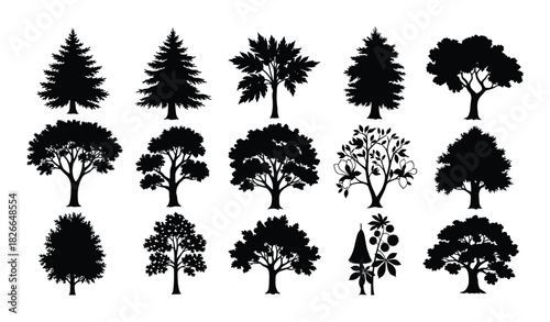 Set of diverse tree silhouettes including pine maple oak and other deciduous and coniferous species isolated
