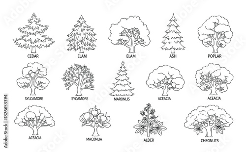 Set of various tree types line art illustration, collection of different plant species outlines drawing
