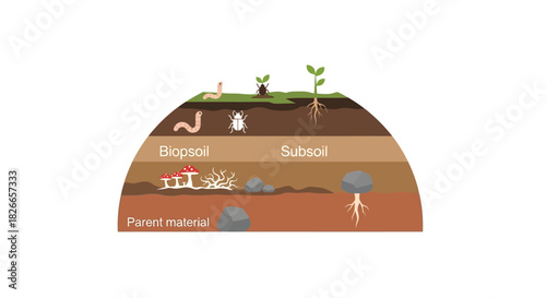 Illustration of a soil cross-section with labeled layers including topsoil, subsoil, and parent material, featuring a worm, plant, and roots.