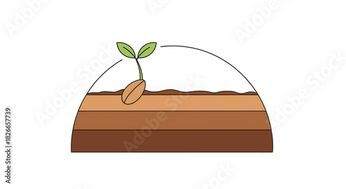 Illustration of a seedling growing in soil under a transparent dome with a white background.