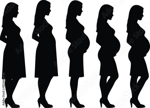 Vector silhouette collection showing progressive stages of pregnancy with woman growing baby bump from early to late trimester isolated on white background for maternity concept.