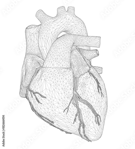 Human heart wireframe drawing in black and white on a clean background. The design features intricate lines and complex geometric shapes for a unique artistic look.
