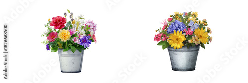 Vibrant flower arrangements in buckets nature setting transparent background colorful display